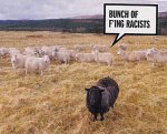 Racist-sheep.jpg