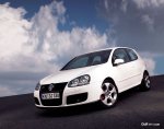 white_gti.jpg