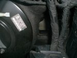 June 12 09 037.jpg