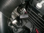 June 12 09 042.jpg