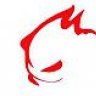 cajun_transplant