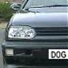 Vr6_Dog
