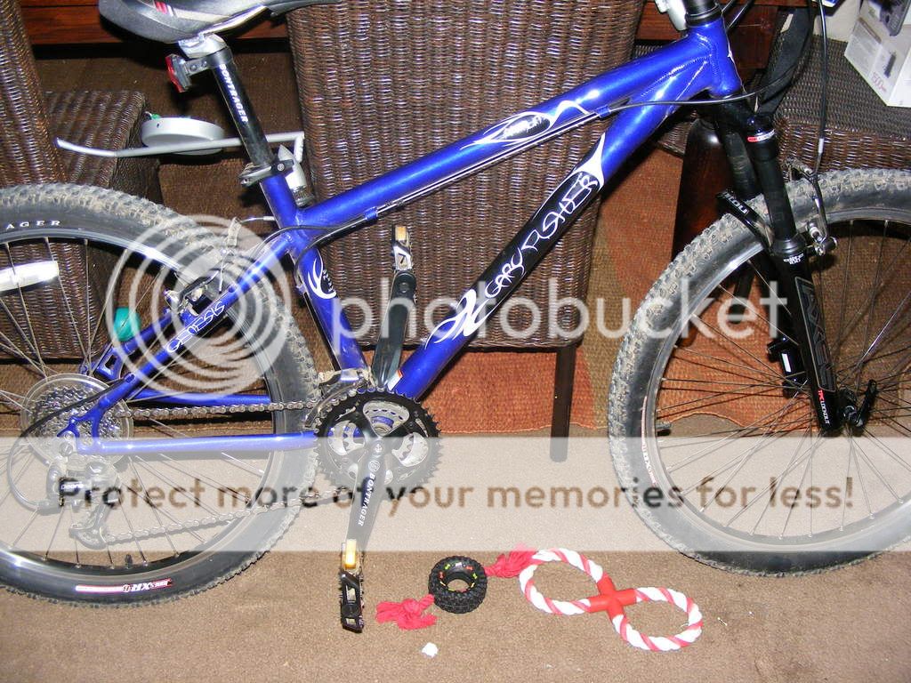 2007 gary fisher marlin